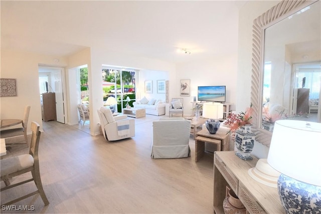 living room featuring light wood finished floors