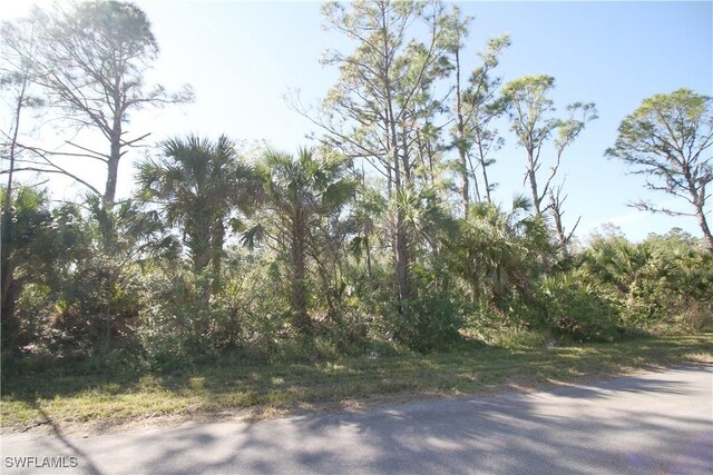 1497 Candy Ln, Port Charlotte, FL 33953 - photo 5