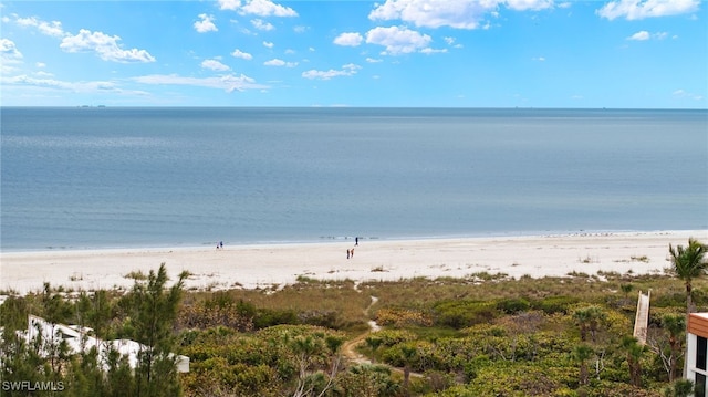 water view featuring a view of the beach