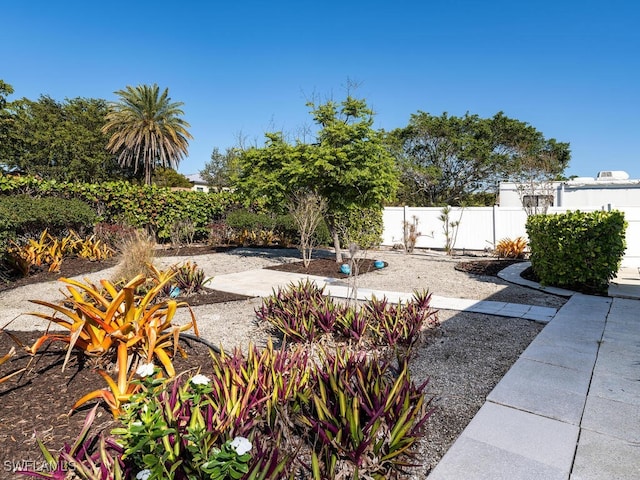 view of yard with a patio area and fence