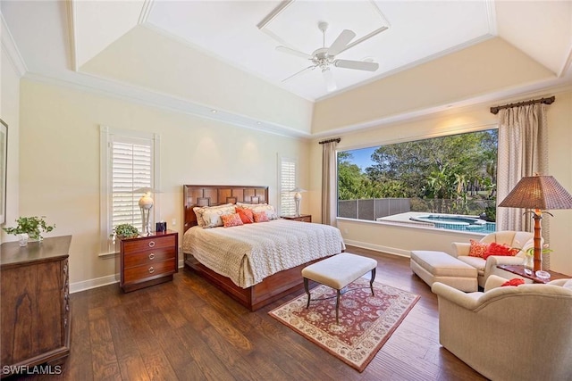 bedroom featuring dark wood-style floors, multiple windows, and a tray ceiling