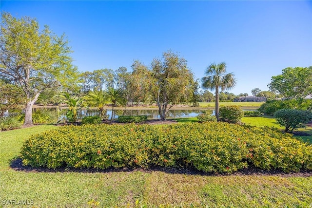 view of home's community with a lawn and a water view