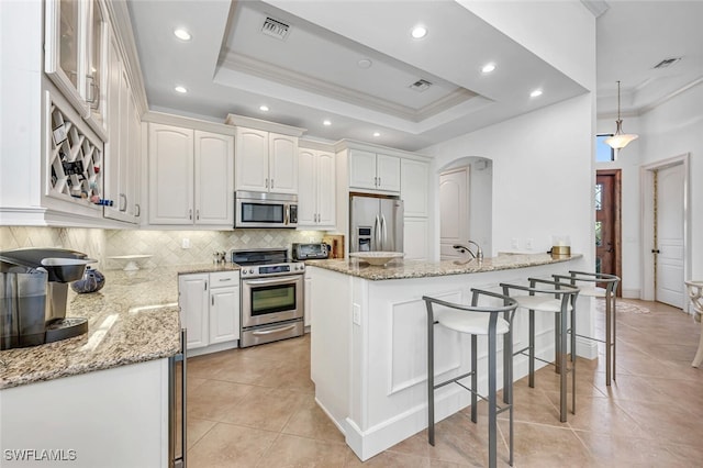 kitchen featuring a tray ceiling, crown molding, and stainless steel appliances