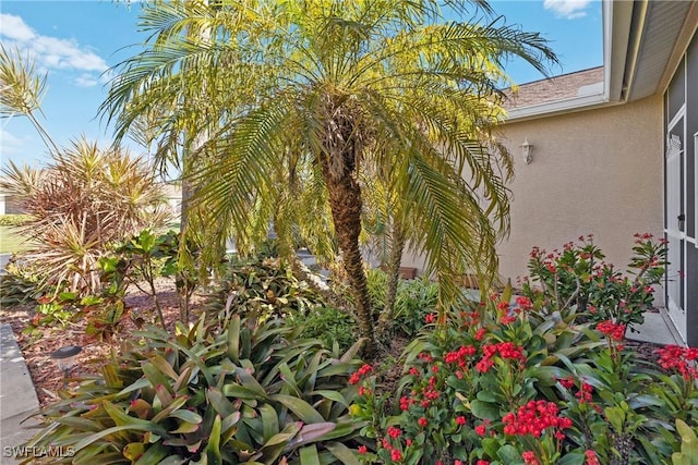 view of side of property with stucco siding