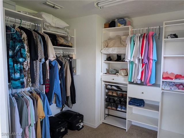 walk in closet with carpet