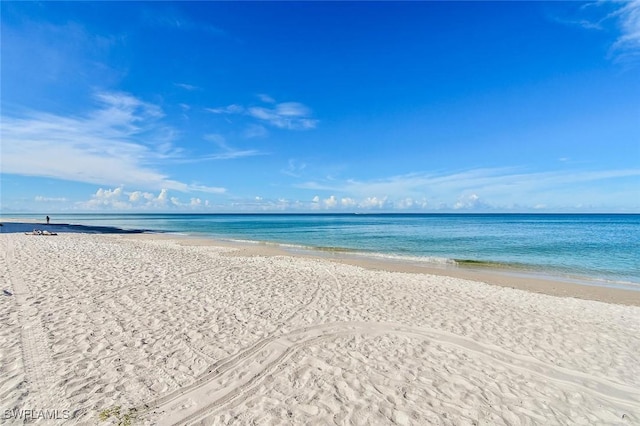 300 Park Shore Dr Unit 4C, Naples, FL 34103 - water view featuring nearby beach