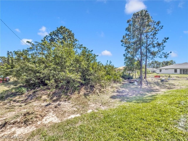 5303 4th St W, Lehigh Acres, FL 33971 - view of yard