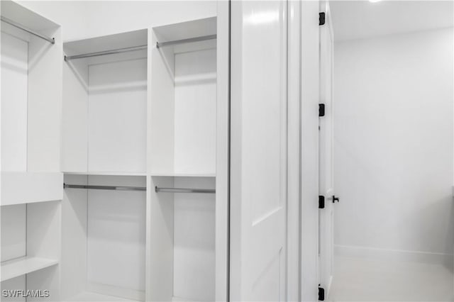 view of spacious closet