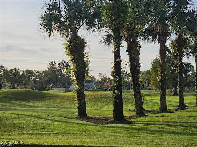 view of property's community featuring a yard