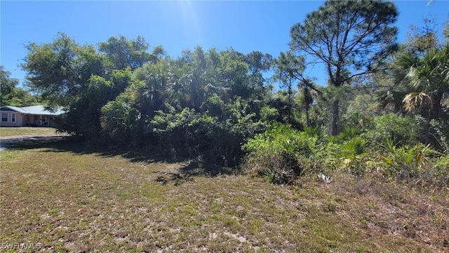 Listing photo 3 for 1180 Castleton Ter, Labelle FL 33935