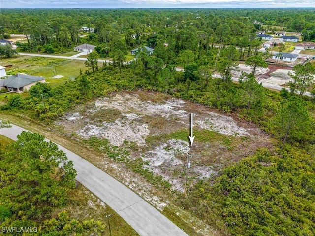 317 Bradley Ave, Lehigh Acres, FL 33974