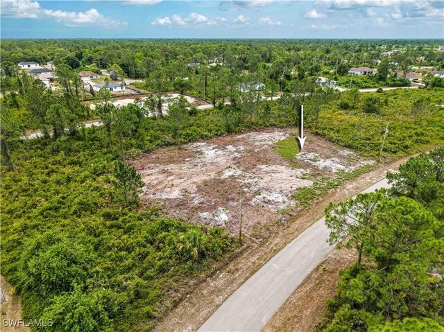 317 Bradley Ave, Lehigh Acres, FL 33974