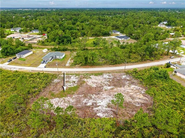 317 Bradley Ave, Lehigh Acres, FL 33974