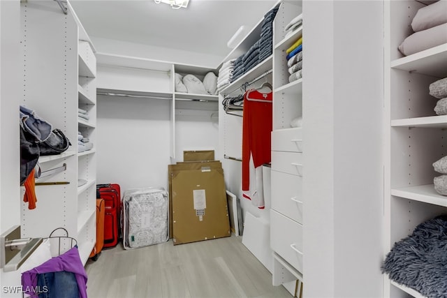 walk in closet with wood finished floors