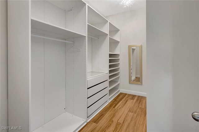 walk in closet with light wood-style floors