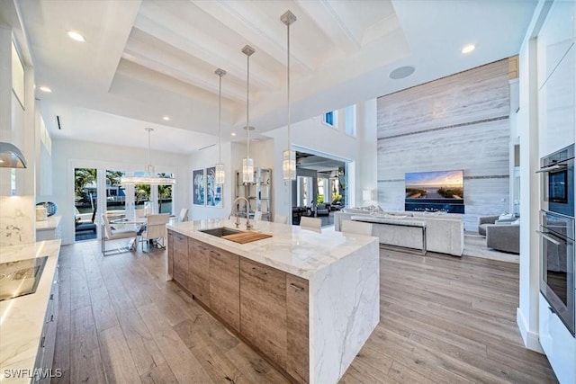 kitchen with a healthy amount of sunlight, light wood-style floors, a large island, modern cabinets, and a sink