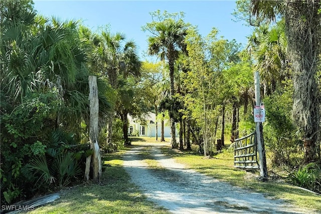 view of property's community featuring dirt driveway