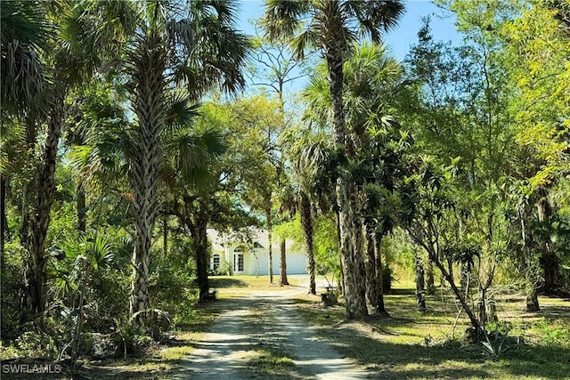 view of home's community featuring driveway