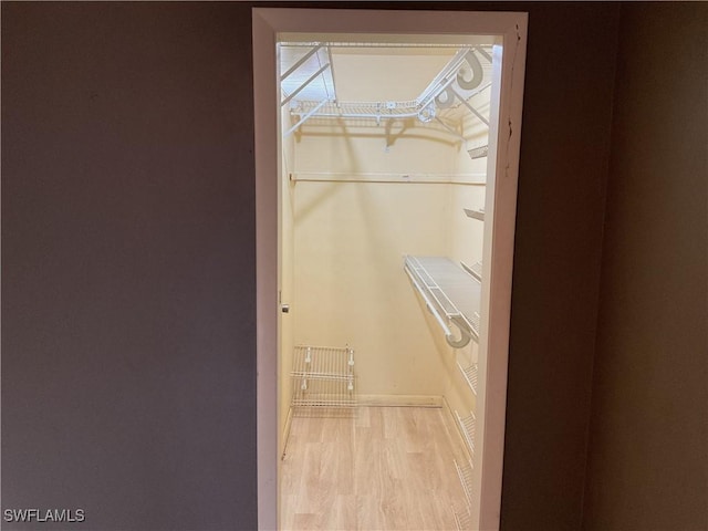 spacious closet featuring light wood-style flooring