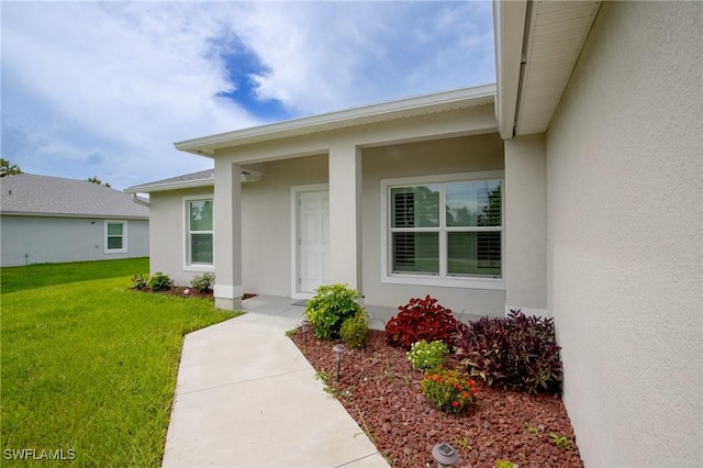 property entrance featuring stucco siding and a lawn