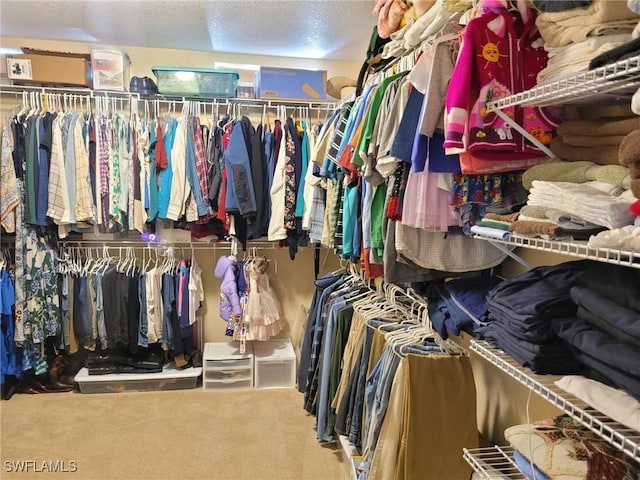11573 SW Dallas Dr N, Lake Suzy, FL 34269 - walk in closet featuring carpet floors