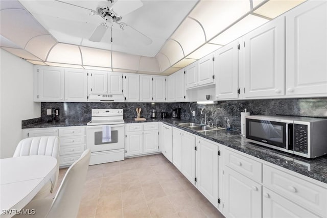 kitchen with stainless steel microwave, backsplash, under cabinet range hood, white electric stove, and a sink