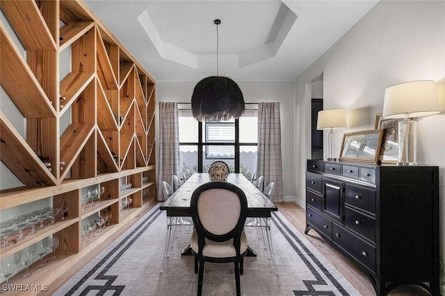 wine room featuring a tray ceiling and wood finished floors