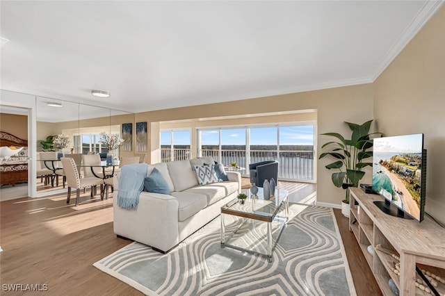 living area featuring wood finished floors, baseboards, and ornamental molding