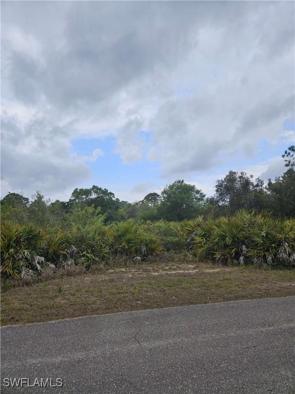 1711 Clayton Ave, Lehigh Acres FL, 33972 land for sale