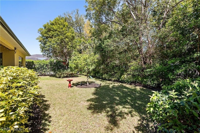 6849 Il Regalo Cir, Naples, FL 34109 - view of yard