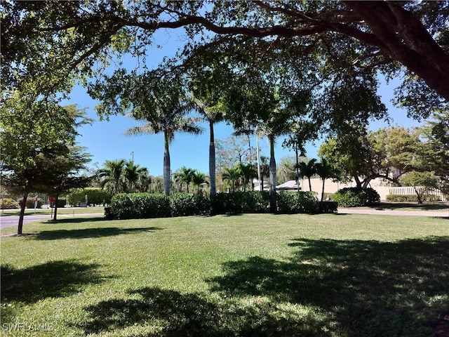 view of property's community with a lawn