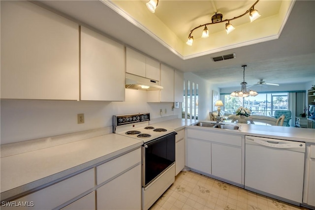 kitchen with under cabinet range hood, a tray ceiling, a sink, electric range oven, and dishwasher