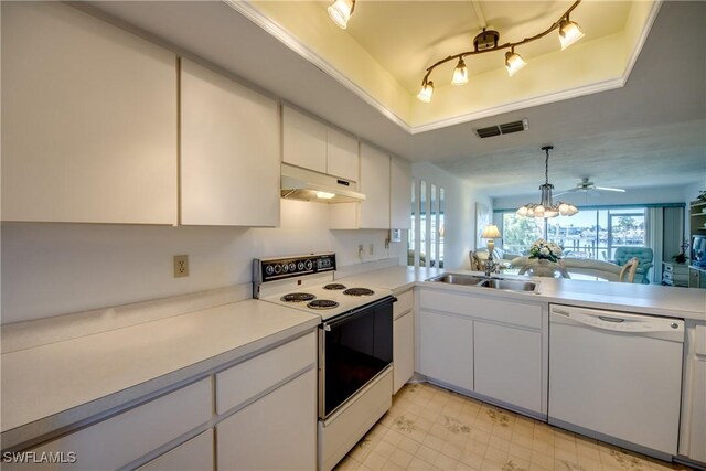 1950 Beach Pkwy Unit 103, Cape Coral, FL 33904 - kitchen featuring electric stove, under cabinet range hood, a tray ceiling, a sink, and white dishwasher