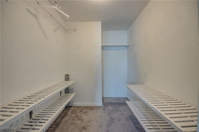 spacious closet with carpet