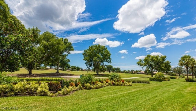 view of home's community featuring a yard