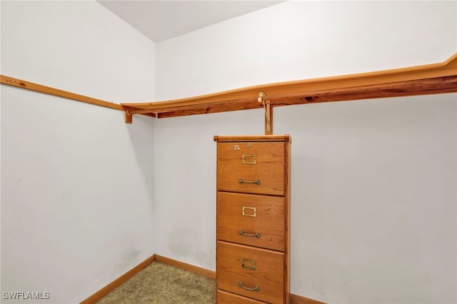 walk in closet with light colored carpet