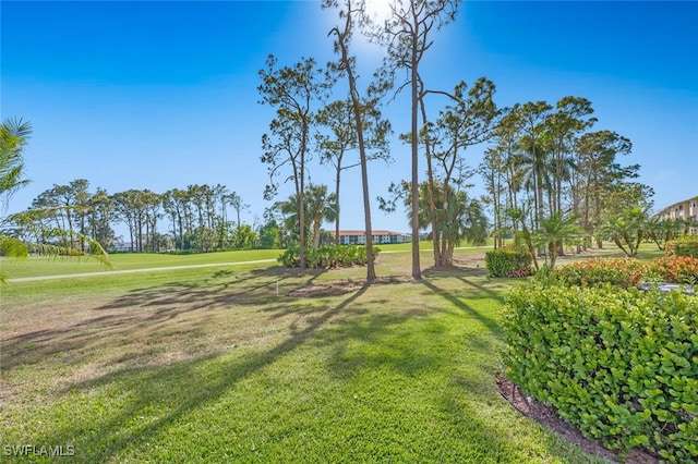 view of community featuring a lawn