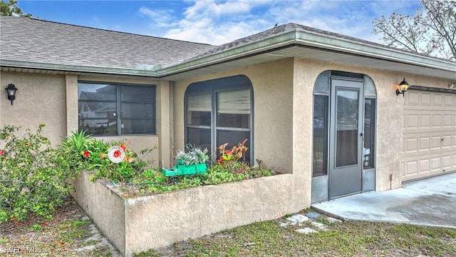 doorway to property featuring stucco siding and a shingled roof