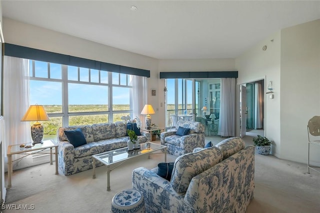 view of carpeted living area