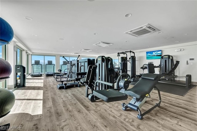 gym featuring expansive windows and wood finished floors