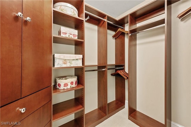 view of walk in closet