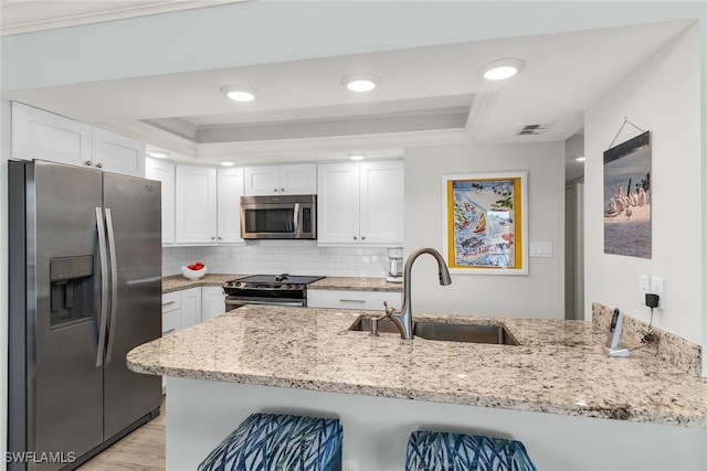 kitchen featuring a raised ceiling, visible vents, appliances with stainless steel finishes, and a sink