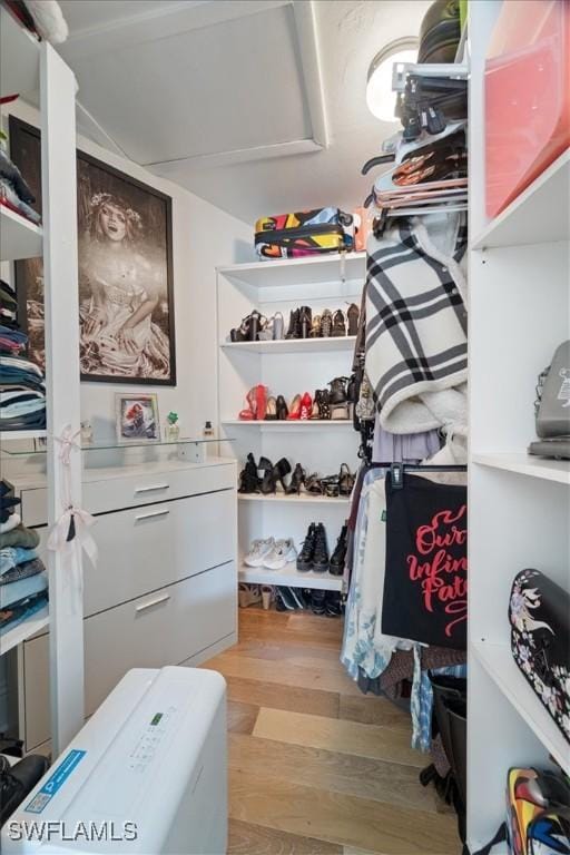 walk in closet featuring light wood finished floors