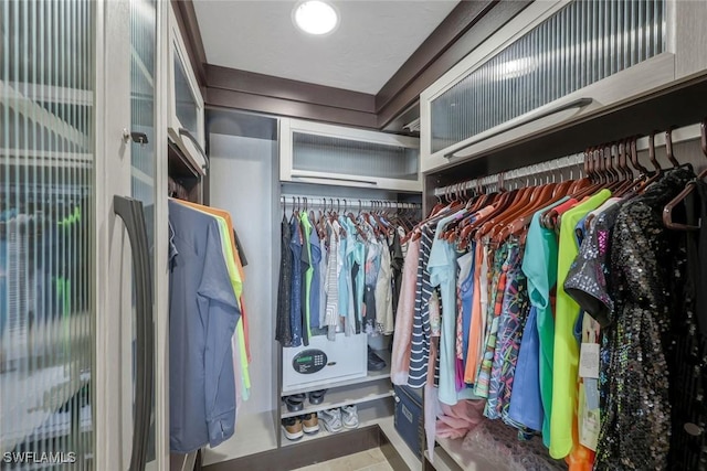 view of walk in closet