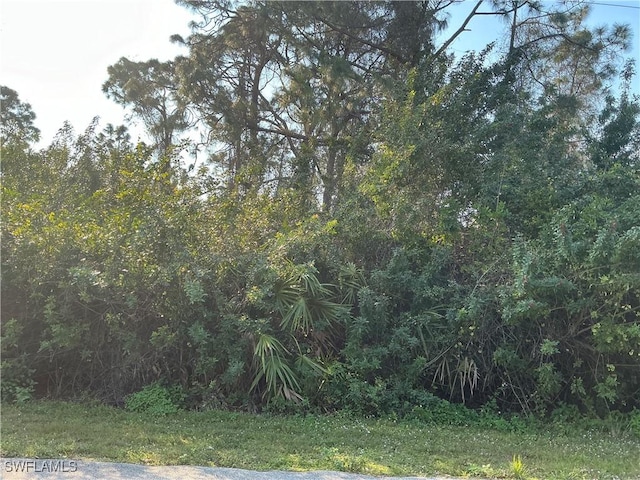 2901 5th St SW, Lehigh Acres FL, 33976 land for sale