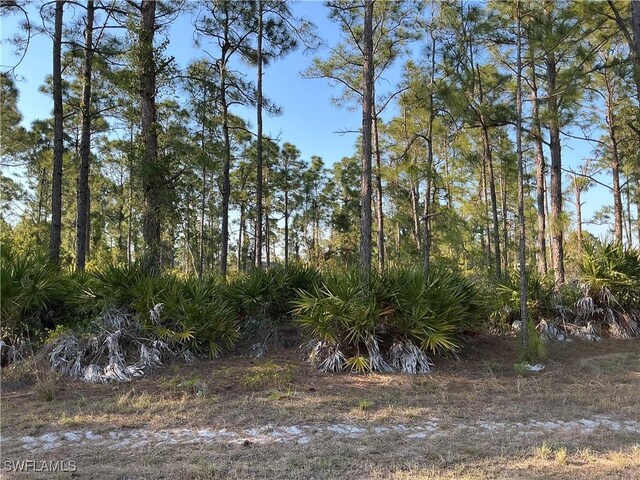 927 Kanuga St E, Lehigh Acres, FL 33974