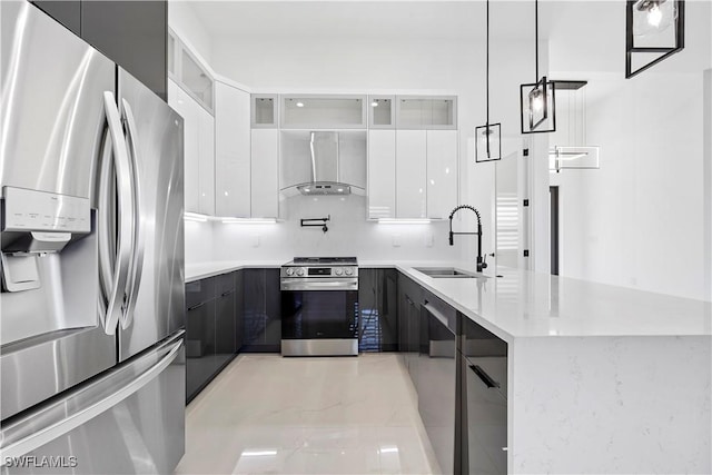 kitchen with a sink, stainless steel appliances, wall chimney range hood, and modern cabinets