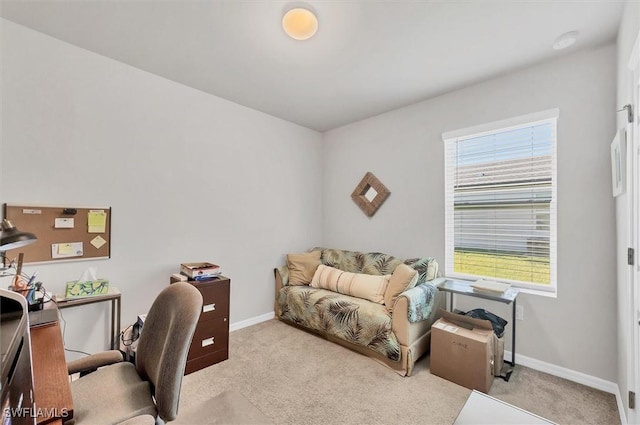 home office featuring carpet flooring and baseboards