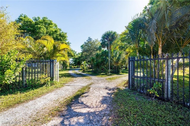 view of road with a gated entry and driveway