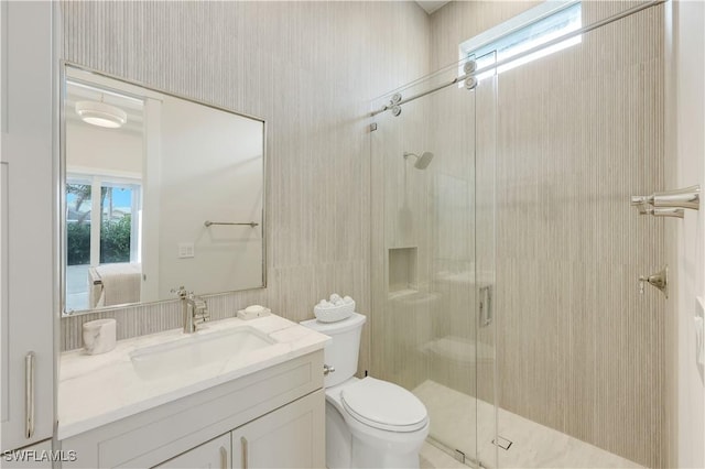 bathroom featuring a wealth of natural light, toilet, a stall shower, and vanity